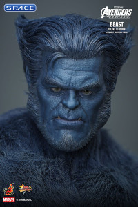 1/6 Scale Beast Deluxe Version Movie Masterpiece MMS921 (Avengers: Doomsday)