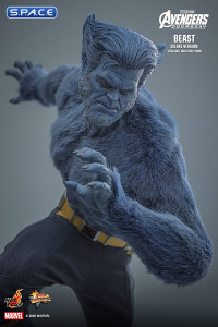 1/6 Scale Beast Deluxe Version Movie Masterpiece MMS921 (Avengers: Doomsday)