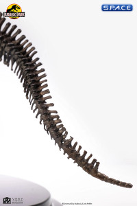 1/24 Scale Triceratops Fossil Skeleton Bronze Statue (Jurassic Park)