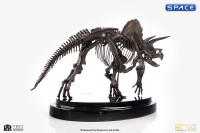 1/24 Scale Triceratops Fossil Skeleton Bronze Statue (Jurassic Park)