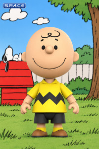 Deluxe Charlie Brown with Ghost Sheet (Peanuts)