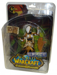 Human Priestess: Sister Benedron (World of Warcraft Series 3)