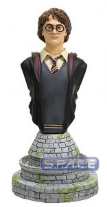 Harry Potter Classics Bust (Harry Potter)