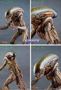 1/6 Scale Dog Alien Model Kit (Alien 3)