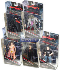 The Spirit Series 1 Assortment (Case of 12)