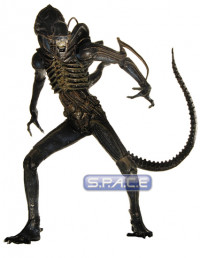 Alien Warrior (Aliens)