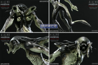 PredAlien Concept Maquette (Aliens vs. Predator: Requiem)