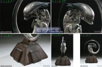 Fetal Queen Maquette (Alien 3)