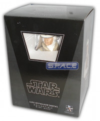 Luke Skywalker Hoth Bust (Star Wars)