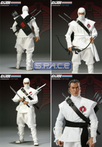 12 Cobra Ninja Code Name: Storm Shadow (G.I. Joe)