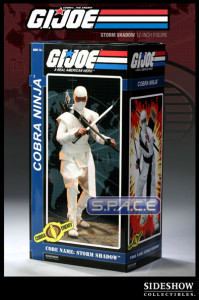 12 Cobra Ninja Code Name: Storm Shadow (G.I. Joe)