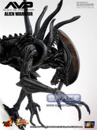 16 Alien Warrior Model Kit (Alien vs. Predator)