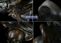 1:1 Alien Life-Size Bust (Alien)