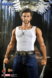 1/6 Scale Wolverine Movie Masterpiece MMS103 (X-Men Origins)