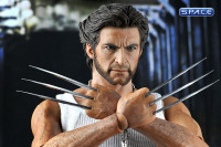 1/6 Scale Wolverine Movie Masterpiece MMS103 (X-Men Origins)