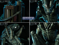 Alien Warrior Maquette (Aliens)