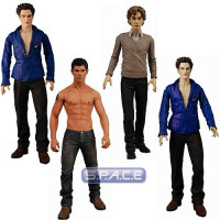 4er Komplettsatz: New Moon Series 2 (Twilight)