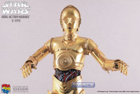 1/6 Scale RAH C-3P0 (Star Wars)