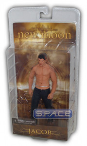 Jacob (Twilight - New Moon Serie 2)