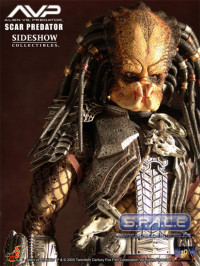 14 Scar Predator (Alien vs. Predator)