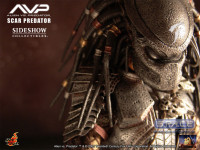 14 Scar Predator (Alien vs. Predator)