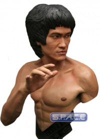 1:1 Bruce Lee Life-Size Bust (Bruce Lee)