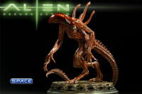 Alien Resurrection Statue (Alien 4)