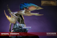 Tupuxuara Maquette (Dinosauria)