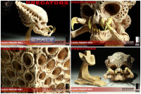 1:1 Classic Predator Skull Life-Size Prop Replica (Predators)
