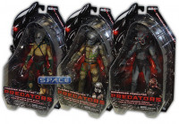 Complete Set of 3: Series 2 (Predators)