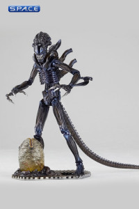 Alien Warrior from Aliens (Sci-Fi Revoltech No. 016)