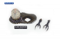 Alien Warrior from Aliens (Sci-Fi Revoltech No. 016)