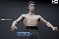 Bruce Lee 70th Anniversary HD Masterpiece Statue (Bruce Lee)
