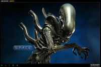 Alien Big Chap Maquette (Alien)