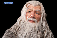 Gandalf Mini-Statue (Lord of the Rings)