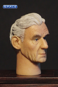 1/6 Scale Ian McKellen Head Sculpt (Head Play)