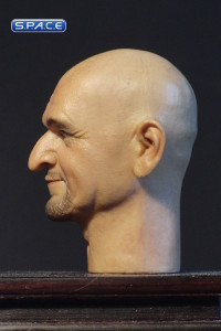 1/6 Scale Ben Kingsley Head Sculpt (Head Play)