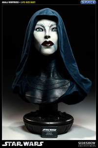 1:1 Asajj Ventress Life-Size Bust (Star Wars)