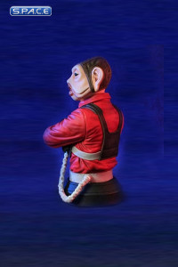 Nien Nunb Bust (Star Wars)