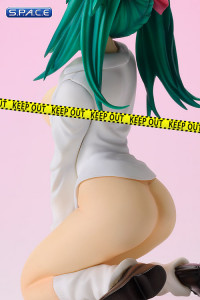 1/7 Scale Ryofu Housen DVD Back Jacket ver. PVC Statue (Ikki Tousen)