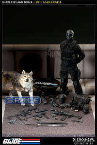 1/6 Scale Snake Eyes and Timber (G.I. Joe)