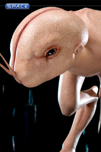 Dren Statue (Splice)