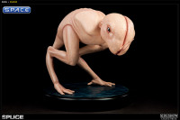 Dren Statue (Splice)