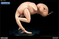 Dren Statue (Splice)