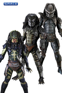 Complete Set of 3: Series 6 (Predators)