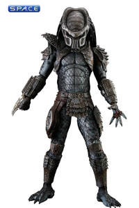 Complete Set of 3: Series 6 (Predators)