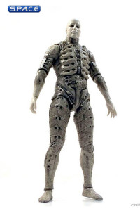 Set of 2: Prometheus Series 1