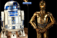 C-3PO and R2-D2 Premium Format Figure Set (Star Wars)