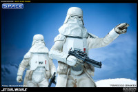 1/6 Scale Snowtrooper (Star Wars)