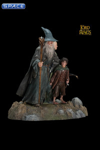 Fellowship of the Ring - Set 1 (Lord of the Rings)